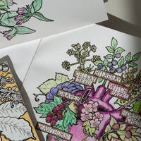 awaken creativivity and learn about herology of adaptogens and healing herbs with this colouring book