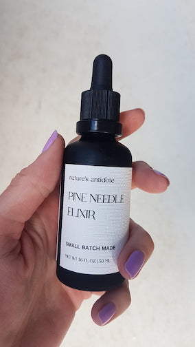 small batch pine needle elixir with moringa oil